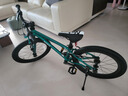 Nabiis那貝斯兒童自行車(chē)6-7-10-12歲鋁合金超輕便青少年學(xué)生單車(chē)20寸綠 曬單實(shí)拍圖
