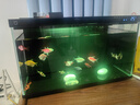 米家（MIJIA）智能生態(tài)魚缸還原自然生態(tài) 智能魚缸+濾芯套裝 曬單實(shí)拍圖