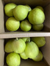 京鮮生 新疆庫爾勒香梨 凈重5斤 單果100g-120g 新鮮水果 源頭直發(fā) 曬單實拍圖