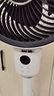 艾美特（AIRMATE）【小暴風(fēng)語音】空氣循環(huán)扇大風(fēng)量電風(fēng)扇家用小型落地扇升級加高電扇輕音柔風(fēng)小風(fēng)扇 FA18-SR160 曬單實(shí)拍圖