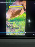 HUWYI平板電腦padPro2025新款ipad 4K超清大屏全面屏144Hz全網(wǎng)通5G高刷網(wǎng)課學(xué)習游戲娛樂(lè )辦公 卷云灰 17pro16G運行+256G內存+豪華禮品14英 曬單實(shí)拍圖