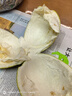 京鮮生 泰國(guó)青柚 青皮白心蜜柚 巨大果4粒禮盒 單果1000g+ 源頭直發(fā)包郵 曬單實(shí)拍圖