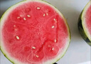 曉吸無(wú)籽麒麟瓜 4kg 曬單實(shí)拍圖