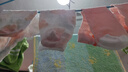 棉十三兒童襪子夏季薄款女童【新疆棉】透氣網(wǎng)眼女孩花邊中筒女童襪8雙 曬單實拍圖