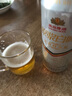 燕京啤酒 11.7度 原漿白啤比利時(shí)小麥 聽裝 500ml*12聽 冰爽暢飲  曬單實(shí)拍圖