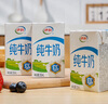 伊利純牛奶250ml*21盒/箱 全脂牛奶 優(yōu)質(zhì)乳蛋白  禮盒裝 曬單實拍圖