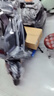 小牛電動(dòng)【2025新品】FXT Citi ABS版 電動(dòng)自行車(chē)鋰電池 新國(guó)標(biāo)智能鋰電長(zhǎng)續(xù)航通勤代步電動(dòng)車(chē) 到店自提 曬單實(shí)拍圖