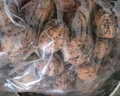 云南薄皮核桃農家老樹核桃孕婦兒童堅果無漂白休閑零食生干核桃 精選5斤（送夾子） 曬單實拍圖