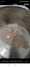 上鮮 無(wú)抗雞大胸 1.8斤 冷凍 出口級 健身雞胸肉雞肉輕食 清真食品 曬單實(shí)拍圖