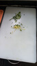 冇覓優(yōu)品切菜板家用砧板抗菌案板防霉食品級pe切水果粘板雙面切肉剁骨板 曬單實(shí)拍圖