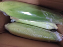 佳農寶菜山東新鮮水果玉米鮮嫩多汁健康輕食玉米4-6根4.5斤裝源頭直發(fā) 曬單實(shí)拍圖