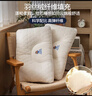 南極人乳膠枕頭家用一對(duì)裝頸椎枕成人睡覺(jué)專(zhuān)用單人學(xué)生宿舍整頭護(hù)頸枕芯 云端艙乳膠藍(lán)色-低枕【一對(duì)】 48x74cm 曬單實(shí)拍圖