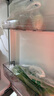 美的（Midea）出品 華凌三門(mén)電冰箱節能低音三門(mén)三溫三開(kāi)門(mén)小型家用租房冷凍冷藏小冰箱HR-223T 曬單實(shí)拍圖