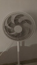 艾美特（AIRMATE）【重磅新品】七葉家用大風(fēng)量落地扇電風(fēng)扇臺式桌面空氣循環(huán)小風(fēng)扇大角度搖頭節能電扇 FS30-X97 曬單實(shí)拍圖