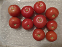 新鮮沙瓤西紅柿自然成熟老品種現(xiàn)摘現(xiàn)發(fā)番茄下蔬菜生鮮減肥 新鮮西紅柿 2斤 凈重 曬單實(shí)拍圖