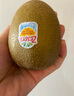 佳沛（zespri）新西蘭 陽光金奇異果12粒禮盒特大果單果約122-146g 獼猴桃 水果 曬單實拍圖