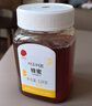 同仁堂（TRT）蜂蜜100%蜂蜜中華蜂蜜真蜜純蜂蜜土蜂蜜營(yíng)養早餐代餐528g 曬單實(shí)拍圖