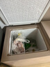 容聲（Ronshen）210升冰柜家用大容量小冷藏大冷凍雙溫冷柜一級(jí)能效廚房頂開門臥式冰箱BCD-210MSA國(guó)家補(bǔ)貼 曬單實(shí)拍圖