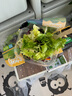一號農(nóng)場活力蔬菜沙拉碗6種蔬菜開盒即食輕食健身代餐160g*3碗源頭直發(fā) 曬單實拍圖