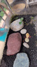 尼特利1號(hào)大師水草泥魚(yú)缸專(zhuān)用水藻泥生態(tài)草缸底砂營(yíng)養(yǎng)土2L/袋 曬單實(shí)拍圖