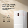 米家小米256升變頻一級風(fēng)冷無霜三門小型家用電冰箱 白色銀離子除菌凈味BCD-256WMSA01 曬單實拍圖