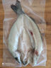 鮮到鮮得冷凍三去白蕉海鱸魚(yú)400g 生鮮 魚(yú)類 海鮮水產(chǎn) 深海魚(yú)  曬單實(shí)拍圖