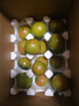 京地達(dá)山東鐵皮草莓西紅柿 凈重4斤 單果50g+ 水果番茄蔬菜源頭直發(fā)包郵 曬單實(shí)拍圖