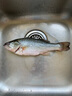 鮮活鱸魚400-500g/條 曬單實(shí)拍圖
