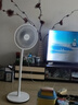 美的（Midea）電風(fēng)扇 家用七葉立式落地扇宿舍臥室輕音節(jié)能搖頭桌面小風(fēng)扇大風(fēng)力空氣循環(huán)風(fēng)扇 SAF30AC  曬單實(shí)拍圖