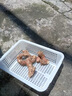 麗雯廣東新鮮南姜茂名老生姜雞豬肚配料牛肉火鍋鹵肉去腥除味非潮汕 南姜1斤 曬單實(shí)拍圖