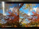 飛利浦EVNIA 31.5英寸4K240Hz QD-OLED動(dòng)態(tài)冷卻 原生10bit 0.03ms 音響 O8電競(jìng)顯示器 國(guó)家補(bǔ)貼32M2N8800 曬單實(shí)拍圖
