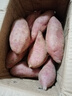 青饞貓湖南齊寧18號紫薯新鮮小紫薯嬰兒輔食營(yíng)養減肥早餐沙地番薯 凈重4.5-5斤【4-6兩】 曬單實(shí)拍圖