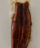 鰻魚(yú)皇后鰻魚(yú)蒲燒(評(píng)價(jià)50萬(wàn)+)整條300g活烤即食海鮮 兒童營(yíng)養(yǎng)輔食生鮮食品 曬單實(shí)拍圖