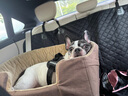 HOUYA寵物車載墊后排座椅副駕駛狗狗車用窩中大型犬后備箱防臟隔離墊 曬單實拍圖