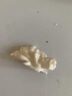 朵芮蜜2025大涼山去青皮新鮮濕核桃薄殼孕婦零食非紙皮核桃應(yīng)季補(bǔ)腦鮮果 優(yōu)選中大果5斤送夾子順豐快遞 曬單實(shí)拍圖