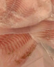 黃小漁寧德鯛魚(yú)片/羅非魚(yú)段 3斤/6-8片低脂鯛魚(yú)排 燒烤火鍋食材源頭直發(fā) 曬單實(shí)拍圖