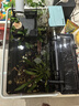 YEE魚(yú)缸過(guò)濾器凈水循環(huán)三合一低音水泵外置瀑布式壁掛制氧一體機15w 曬單實(shí)拍圖