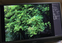 聯(lián)合創(chuàng  )新31.5英寸4K OLED顯示器 原生10bit真色彩 Type-C90W內置音箱 纖薄機身辦公設計修圖顯示屏32Q1U 曬單實(shí)拍圖