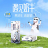 君樂寶（JUNLEBAO）遇見奶牛全脂純牛奶 200mL*24盒整箱 營養(yǎng)早餐家庭量販 曬單實拍圖