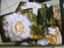 babycare金山茶花紙尿褲NB68片(<5kg)新生兒嬰兒尿不濕超薄透氣輕柔花苞褲 曬單實拍圖