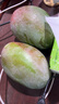 京鮮生 攀枝花凱特芒果 凈重4.5斤 單果300g+ 生鮮水果源頭直發(fā) 曬單實(shí)拍圖