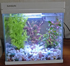 森森（SUNSUN）超白魚缸一體缸自循環(huán)客廳水族箱桌面家用懶人免換水小型金魚缸 超白HEJ250標配 帶濾材+棉 曬單實拍圖