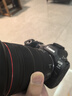 佳能Canon EOS R5 Mark II 全畫幅專業(yè)微單數(shù)碼相機 單機身 曬單實拍圖