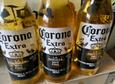 科羅娜（CORONA）特級啤酒330ml*12瓶啤酒整箱裝經(jīng)典拉格 七夕送禮  曬單實(shí)拍圖