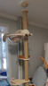 牧靈CFA賽級逗貓棒貓咪玩具自嗨解悶逗貓棒羽毛鈴鐺替換頭小寵物用品 【限量50件】CFA賽級逗貓棒 曬單實(shí)拍圖