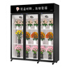 卡帝仕 花店商用鮮花保鮮柜大容量風(fēng)冷鮮花保鮮冰箱鮮花冰柜鮮花冷藏保鮮柜鮮花冷柜展示柜鮮花柜保鮮柜 風(fēng)冷循環(huán)黑色三門（冠軍推薦） 曬單實拍圖