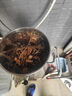 三鼎電熱燒水桶開水桶304不銹鋼商用大號煮草藥涼茶奶茶水桶控溫綠豆湯桶保溫月子桶防干燒開水器 保溫開水桶(特厚款）裝約53斤 曬單實(shí)拍圖