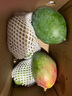 京鮮生 攀枝花凱特芒果 凈重4.5斤 單果300g+ 生鮮水果源頭直發(fā) 曬單實(shí)拍圖