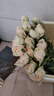 京東鮮花產(chǎn)地倉嚴選云南基地鮮花直發(fā)無(wú)土香檳玫瑰買(mǎi)10枝送10枝生活鮮花 曬單實(shí)拍圖