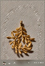 周生生足金樹葉型黃金吊墜女款項(xiàng)墜不含項(xiàng)鏈50461P計(jì)價(jià)3.1克 曬單實(shí)拍圖